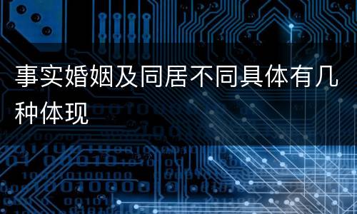 事实婚姻及同居不同具体有几种体现