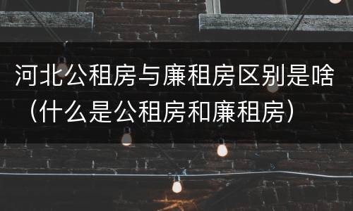 河北公租房与廉租房区别是啥（什么是公租房和廉租房）