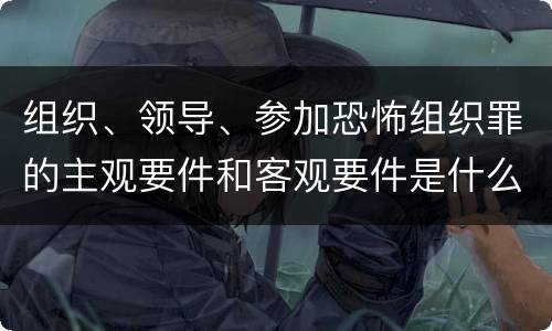 组织、领导、参加恐怖组织罪的主观要件和客观要件是什么