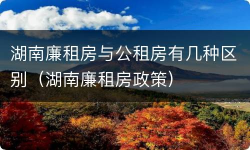 湖南廉租房与公租房有几种区别（湖南廉租房政策）