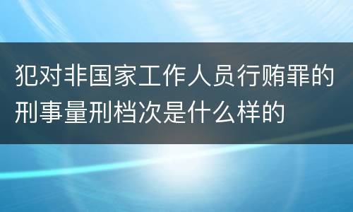 犯对非国家工作人员行贿罪的刑事量刑档次是什么样的