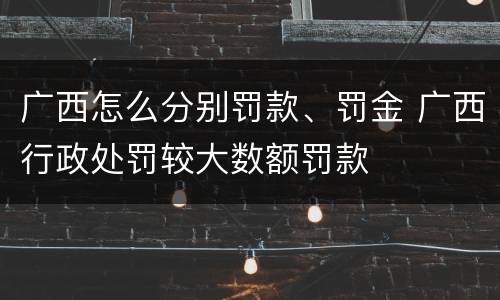 广西怎么分别罚款、罚金 广西行政处罚较大数额罚款