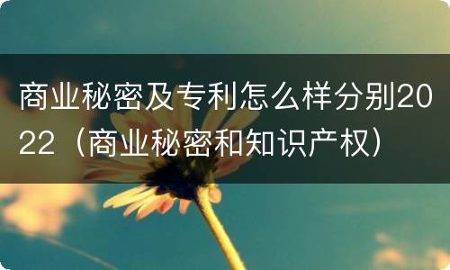 商业秘密及专利怎么样分别2022（商业秘密和知识产权）