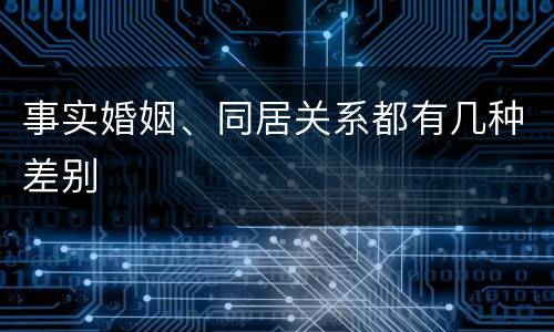 事实婚姻、同居关系都有几种差别