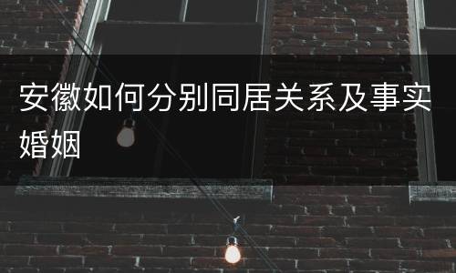 安徽如何分别同居关系及事实婚姻