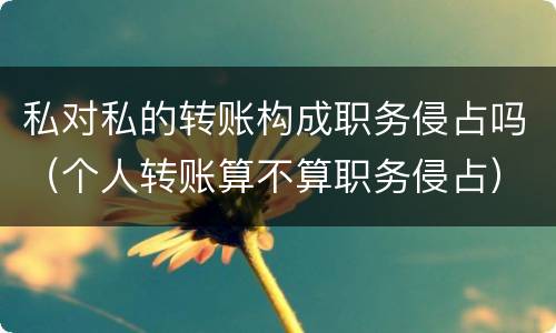 私对私的转账构成职务侵占吗（个人转账算不算职务侵占）
