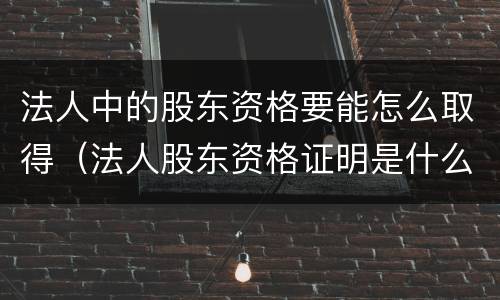 法人中的股东资格要能怎么取得（法人股东资格证明是什么）