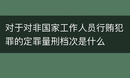 对于对非国家工作人员行贿犯罪的定罪量刑档次是什么
