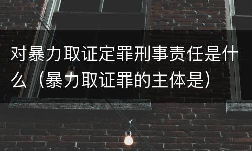 对暴力取证定罪刑事责任是什么（暴力取证罪的主体是）