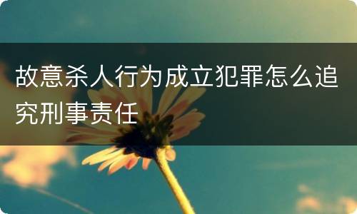 故意杀人行为成立犯罪怎么追究刑事责任