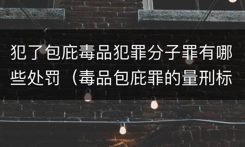 犯了包庇毒品犯罪分子罪有哪些处罚（毒品包庇罪的量刑标准）