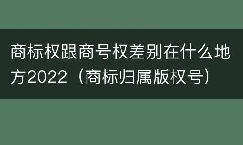 商标权跟商号权差别在什么地方2022（商标归属版权号）