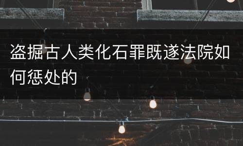 盗掘古人类化石罪既遂法院如何惩处的