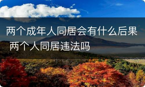 两个成年人同居会有什么后果 两个人同居违法吗