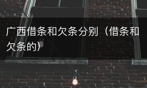 广西借条和欠条分别（借条和欠条的）