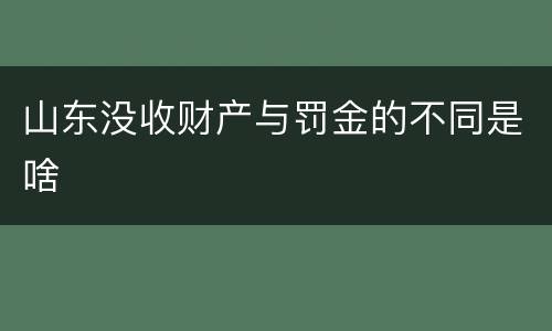 山东没收财产与罚金的不同是啥