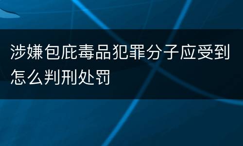 涉嫌包庇毒品犯罪分子应受到怎么判刑处罚