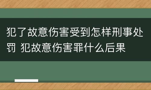 犯了故意伤害受到怎样刑事处罚 犯故意伤害罪什么后果