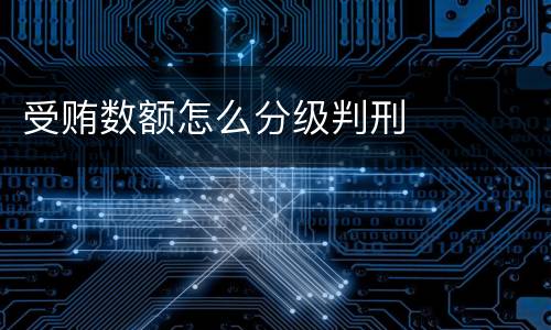 受贿数额怎么分级判刑