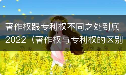 著作权跟专利权不同之处到底2022（著作权与专利权的区别）