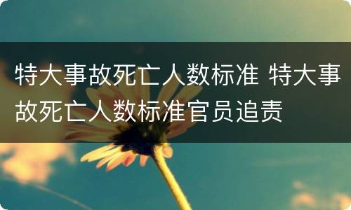 特大事故死亡人数标准 特大事故死亡人数标准官员追责
