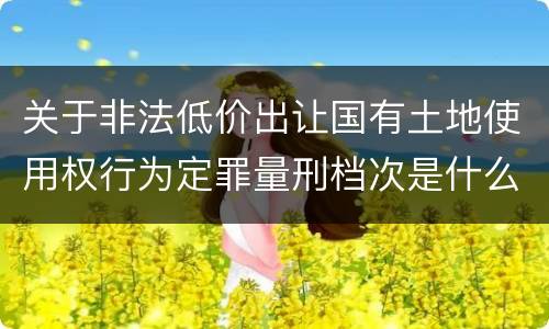 关于非法低价出让国有土地使用权行为定罪量刑档次是什么