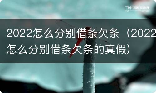 2022怎么分别借条欠条（2022怎么分别借条欠条的真假）