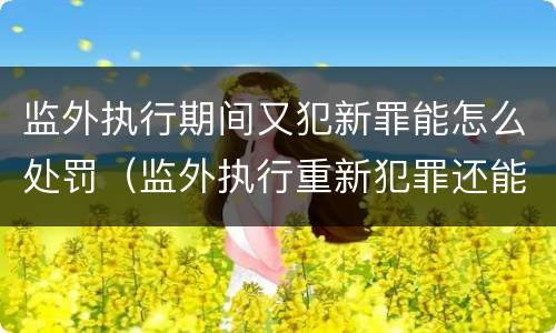 监外执行期间又犯新罪能怎么处罚（监外执行重新犯罪还能监外）
