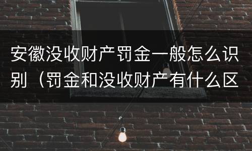 安徽没收财产罚金一般怎么识别（罚金和没收财产有什么区别）