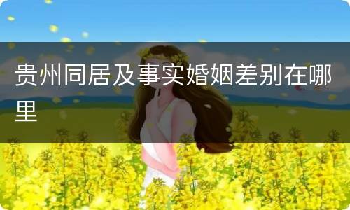 贵州同居及事实婚姻差别在哪里