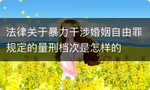 法律关于暴力干涉婚姻自由罪规定的量刑档次是怎样的