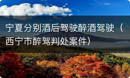 宁夏分别酒后驾驶醉酒驾驶（西宁市醉驾判处案件）