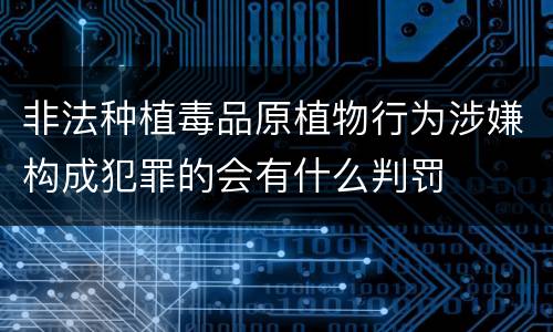 非法种植毒品原植物行为涉嫌构成犯罪的会有什么判罚