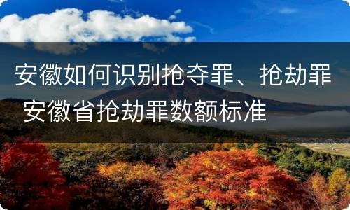 安徽如何识别抢夺罪、抢劫罪 安徽省抢劫罪数额标准