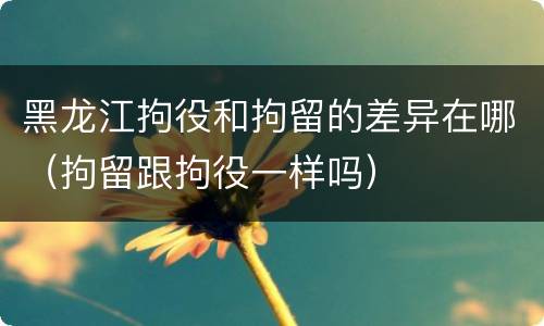 黑龙江拘役和拘留的差异在哪（拘留跟拘役一样吗）