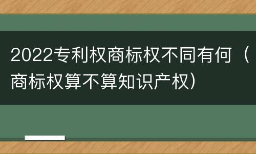 2022专利权商标权不同有何（商标权算不算知识产权）