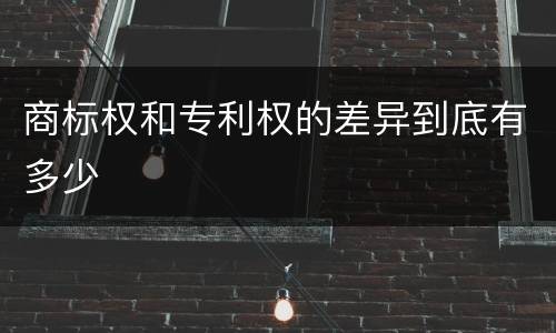 商标权和专利权的差异到底有多少