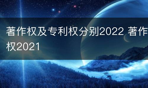 著作权及专利权分别2022 著作权2021