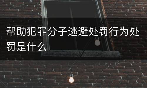 帮助犯罪分子逃避处罚行为处罚是什么