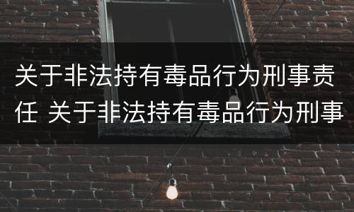 关于非法持有毒品行为刑事责任 关于非法持有毒品行为刑事责任的规定