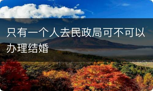 只有一个人去民政局可不可以办理结婚