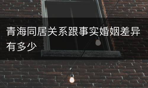 青海同居关系跟事实婚姻差异有多少