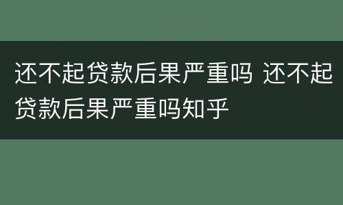 还不起贷款后果严重吗 还不起贷款后果严重吗知乎