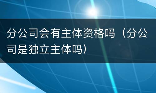 分公司会有主体资格吗（分公司是独立主体吗）