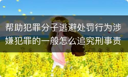 帮助犯罪分子逃避处罚行为涉嫌犯罪的一般怎么追究刑事责任