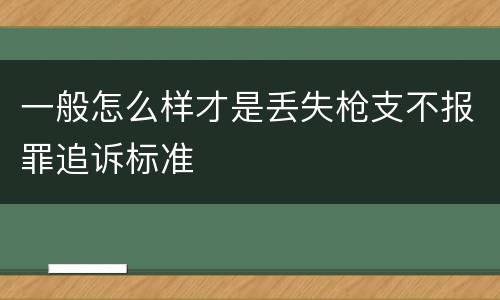 一般怎么样才是丢失枪支不报罪追诉标准