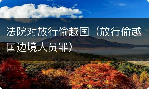 法院对放行偷越国（放行偷越国边境人员罪）