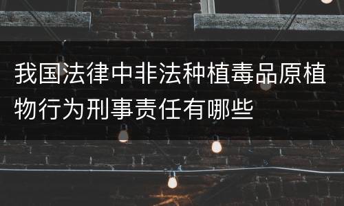 我国法律中非法种植毒品原植物行为刑事责任有哪些