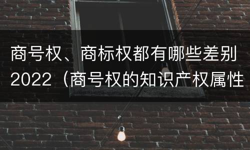 商号权、商标权都有哪些差别2022（商号权的知识产权属性）