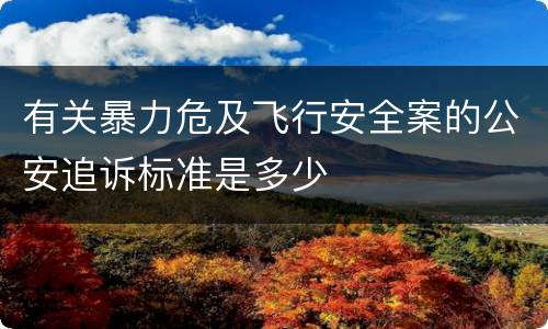 有关暴力危及飞行安全案的公安追诉标准是多少